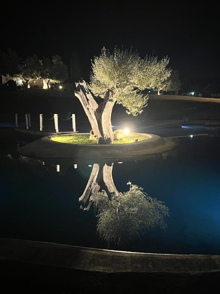 Agriturismo Cerrosughero Canino Luaran gambar