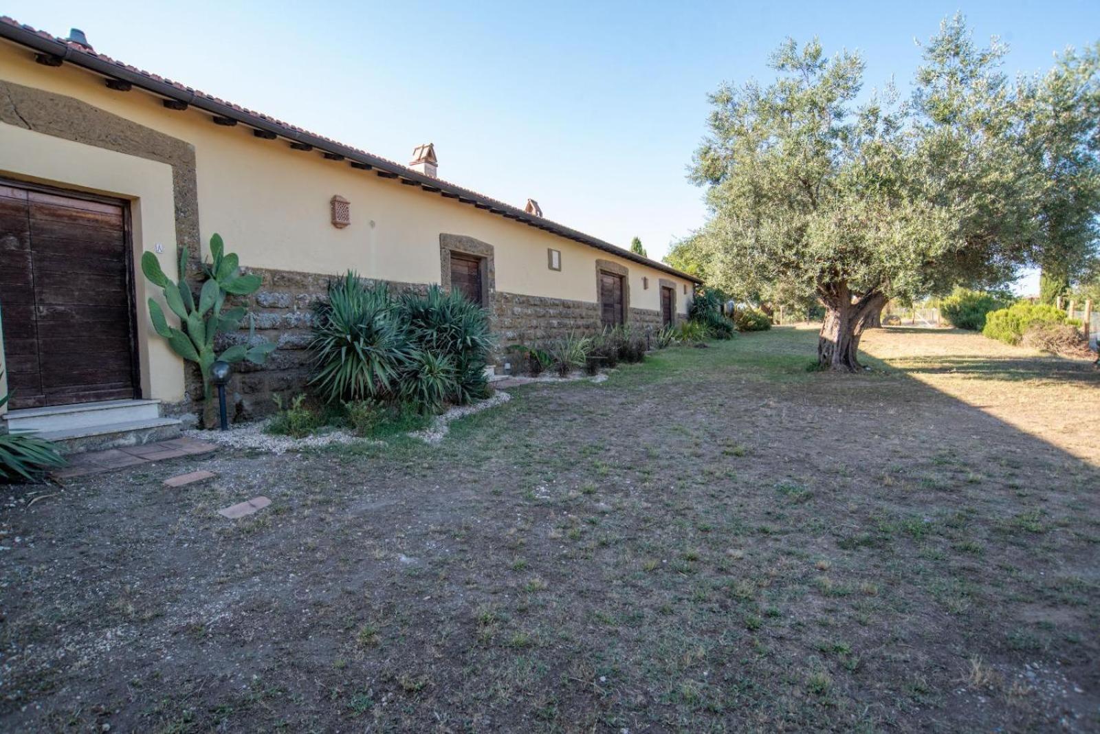 Agriturismo Cerrosughero Canino Luaran gambar